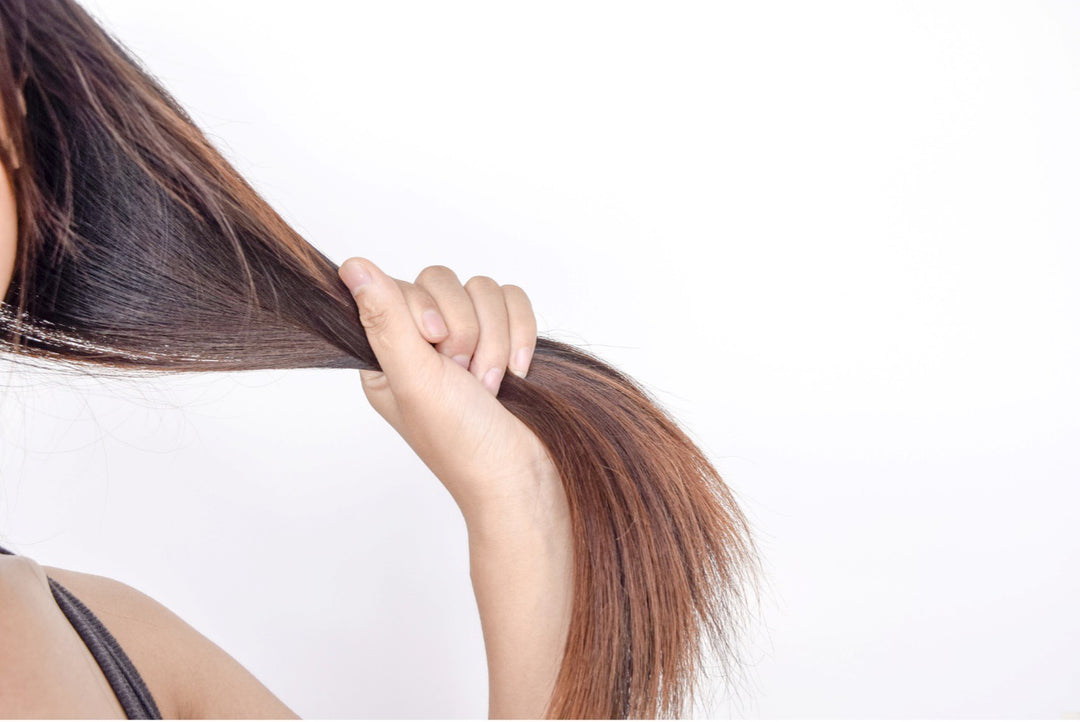 How to Restore Moisture and Shine to Dry Hair
